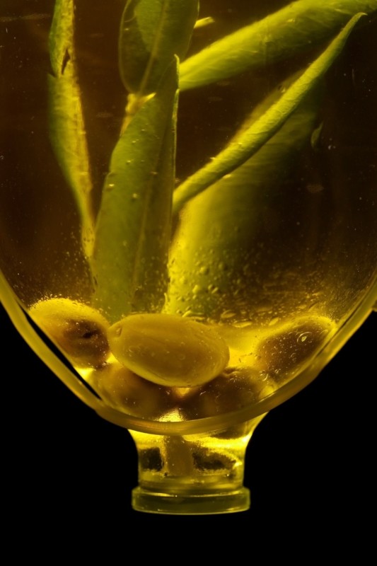 Aove- aceite de oliva virgen extra