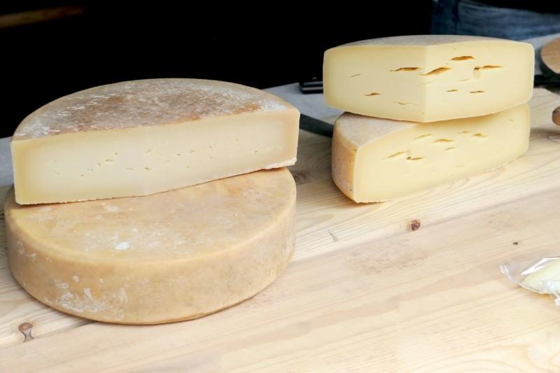 tipos de queso
